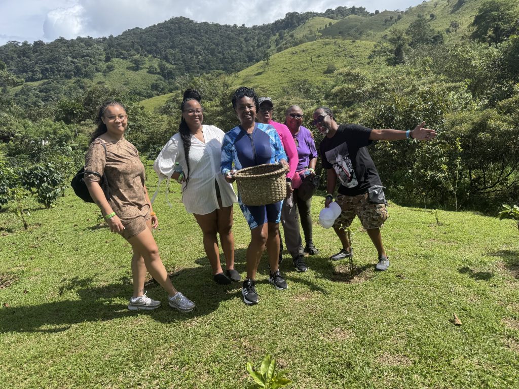 Blog 51 Terry's Blissful Travel
